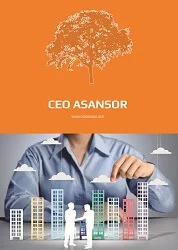 CEO Asansor лого фото