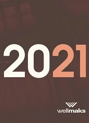 фото логотипа Wellmaks 2021 год